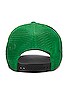 view 4 of 4 Curved Logo Mesh Cap in Green