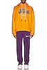 view 4 of 4 SUDADERA in Ocher Yellow & Brown
