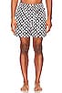 view 4 of 5 Damier Print Swimshort in Black & Red