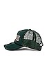 view 3 of 4 Lithium Trucker Hat in Green