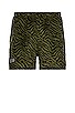 view 1 of 3 Breaker Fuzzy Stripe Shorts in Green