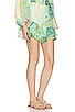 view 2 of 4 x REVOLVE Tropicalia Ruffle Hem Shorts in Island Blue