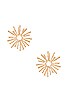view 1 of 3 Disco Daisy Earrings in Gold