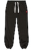 Fleece Pant, view 3, click to view large image.