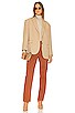 view 4 of 4 Cassie Cargo High Rise Pant in Spicy Brown
