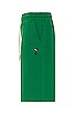 view 3 of 4 AMI Shorts in Verdant Green
