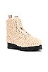 view 2 of 5 BOTA SHERPA LACE-UP in Nude