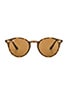 view 1 of 3 LUNETTES DE SOLEIL ROUND in Tortoise & Brown Classic