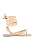 view 1 of 5 Veronica Sandal in Nude