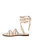 Collette Sandal, view 5, click to view large image.