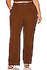 view 3 of 10 DANIELLE パンツ in Brown