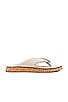 view 1 of 5 Parque Thong Sandal in Paloma