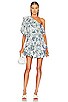 view 1 of 4 Ozzie Dress in Sariska Safari