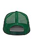 view 2 of 2 Palms Hat in Green & White