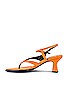 view 5 of 5 NEN LEAF 샌들 in Orange