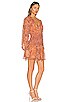Lar Mini Dress, view 2, click to view large image.