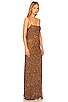 view 3 of 4 Alice Dress in Amber Brown