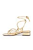 view 5 of 5 Daffy Sandal in Gold Leaf & Soft Silver