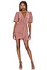 Deb Mini Dress, view 1, click to view large image.