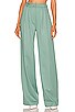 view 1 of 4 High Rise Double Pleated Pant in Beryl Green