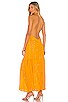 view 1 of 5 Zahara Dress in Saint Barth Curcuma
