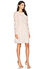 Long Sleeve Lace Mini Dress, view 2, click to view large image.