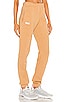 X REVOLVE Sweatpants, view 2, click to view large image.