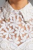 view 6 of 7 New Romantics Collared Party Dress in White