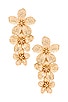 view 1 of 2 Botanique Earrings in Gold