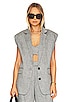 view 1 of 5 Amanda Sleeveless Tailored Blazer in Ash