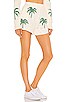 view 2 of 4 BOARDWALK 쇼츠 in Palm Tree Knit
