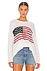 view 1 of 4 Woodsy Sweater in American Flag Print