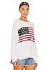 view 2 of 4 Woodsy Sweater in American Flag Print