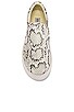 Steve Madden Gills Sneaker In Bone Snake Revolve