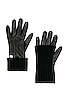 view 1 of 1 Carmel Gloves in Black