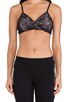 view 5 of 5 So Low Wrap Lace Bra in Black & Ballet