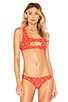 view 1 of 4 Seychelles Bikini Top in Star Red