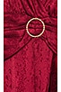 view 5 of 5 Edwin Maxi Dress in Cranberry Red