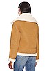 view 4 of 5 LUCO 자켓 in Brown