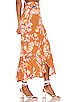 view 2 of 4 Kaia Midi Skirt in Rust Floral