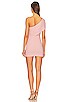 view 4 of 4 Danielle Mini Dress in Pink