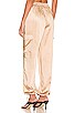 view 3 of 4 Rita Cargo Pant in Champagne