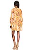 view 3 of 3 Freda Boho Mini Dress in Amber