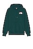view 2 of 3 SUDADERA BOX NSE in Ponderosa Green & TNF Black