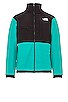 view 1 of 4 Denali 2 Jacket in Porcelain Green
