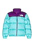 1996 Retro Nuptse Jacket, view 1 of 4, click to view large image.