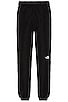 Black Box Track Pant, view 3, click to view large image.