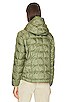 view 4 of 5 Haelo Hoodie Jacket in Moss
