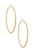 Carmella Twisted Hoop Earrings, view 1 of 3, click to view large image.