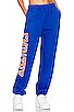 view 1 of 5 EMPATHY Sweatpants in Cobalt